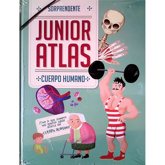 Sorprendente junior atlas cuerpo humano