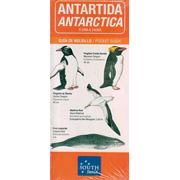 Antartida. Flora y fauna