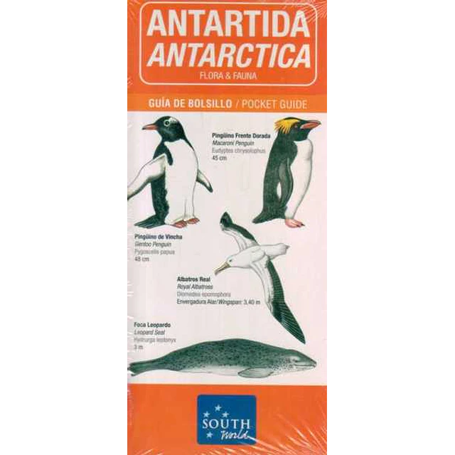 Antartida. Flora y fauna
