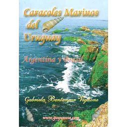 Caracoles marinos del uruguay