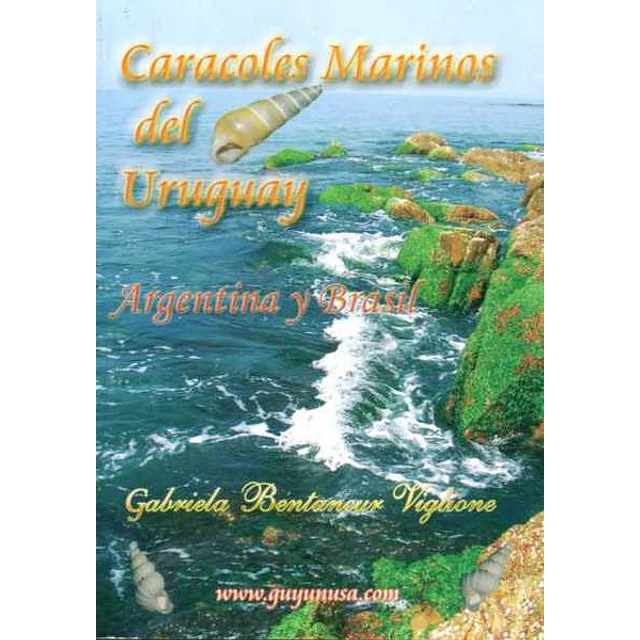 Caracoles marinos del uruguay