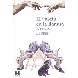 El volcan en la llanura
