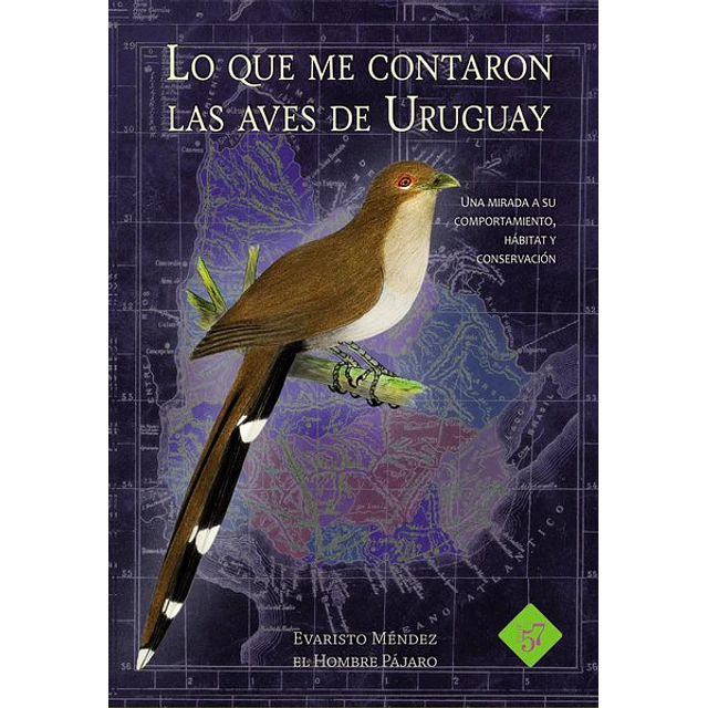 Lo que me contaron las aves de uruguay