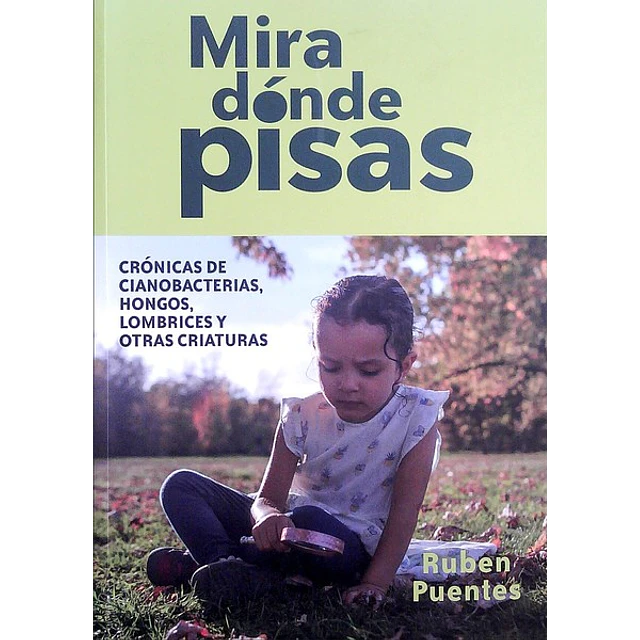 Mira donde pisas