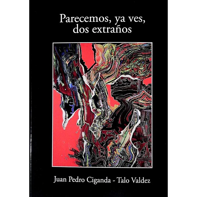 Parecemos, ya ves, dos extraños