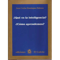 Que es la inteligencia?¿Como aprendemos?