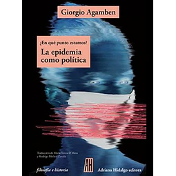 La epidemia como politica