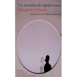Un monton de espejos rotos