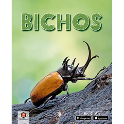 Bichos
