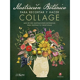Ilustracion botanica para recortar y hacer collage