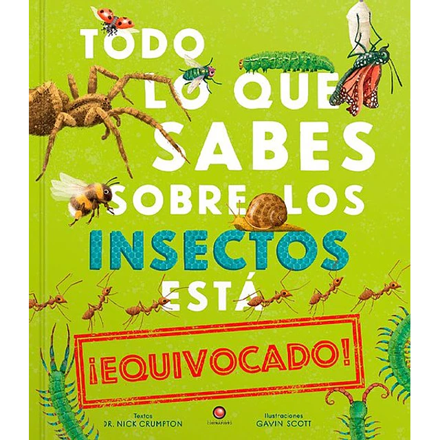 Todo lo que sabes sobre los insectos esta  ¡Equivocado!