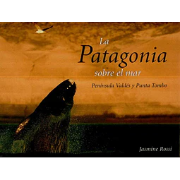 La patagonia sobre el mar