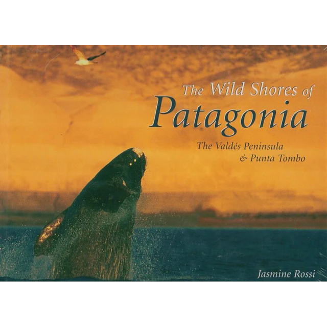 The wild shores of patagonia