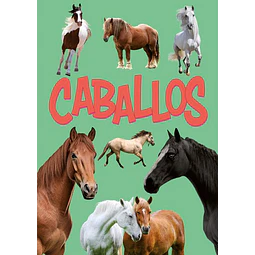 Caballos