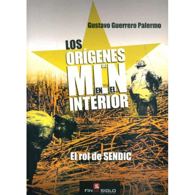 Los origenes del mln en el interior