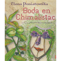 Boda en chimalistac