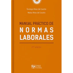 Manual practico de normas laborales