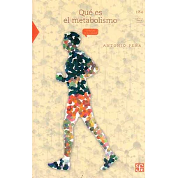 Que es el metabolismo