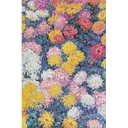 Monet  s chrysanthemus. Midi tapa dura liso