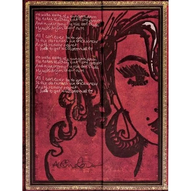 Amy winehouse. Ultra liso tapa dura