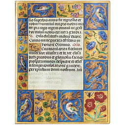 Ancient illumination spinola hours ultra renglones flexible
