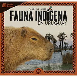 Fauna indigena en uruguay. Terracota