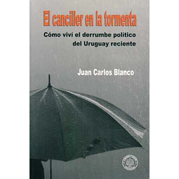 El canciller en la tormenta