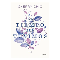 El tiempo que tuvimos