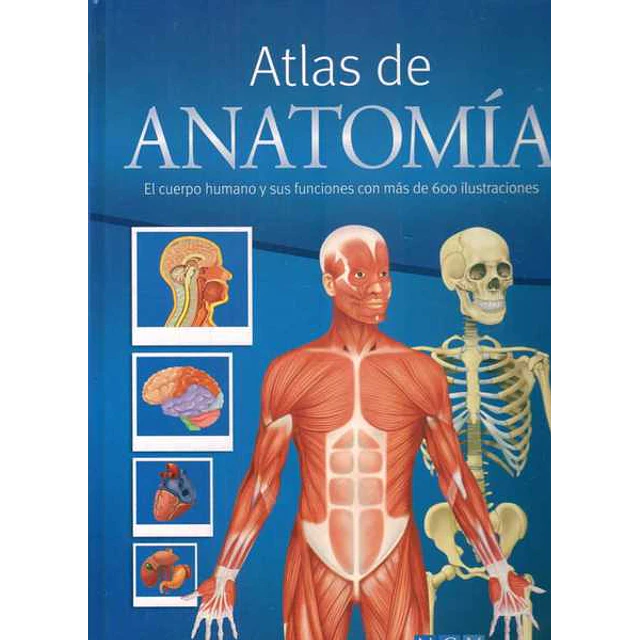 Atlas de anatomia