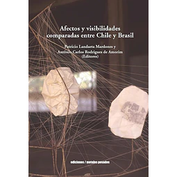 Afectos y visibilidades comparadas entre chile y brasil