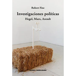 Investigaciones politicas