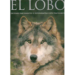 El lobo