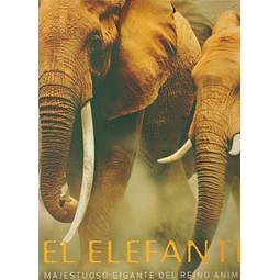 El elefante. Majestuoso gigante del reino animal