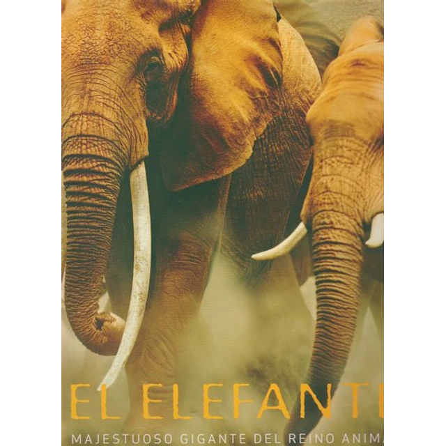 El elefante. Majestuoso gigante del reino animal