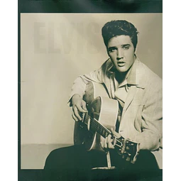 Imagenes de elvis