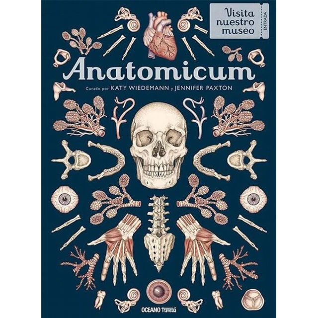 Anatomicum