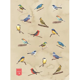 Cuaderno. Aves uruguay