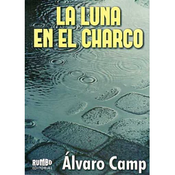 La luna en el charco