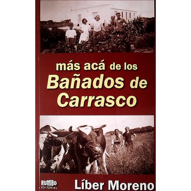Mas aca de los bañados de carrasco