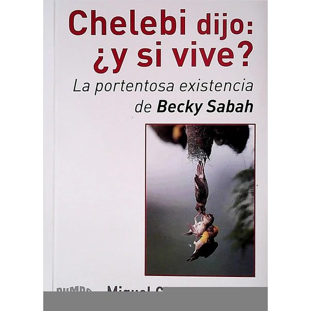 Chelebi dijo: ¿Y si vive?