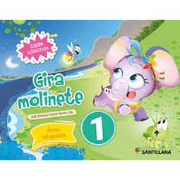 Gira molinete 1.  Areas inttegradas