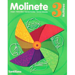 Molinete 3. Multiarea + artes visuales 3