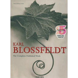 Karl blossfeldt