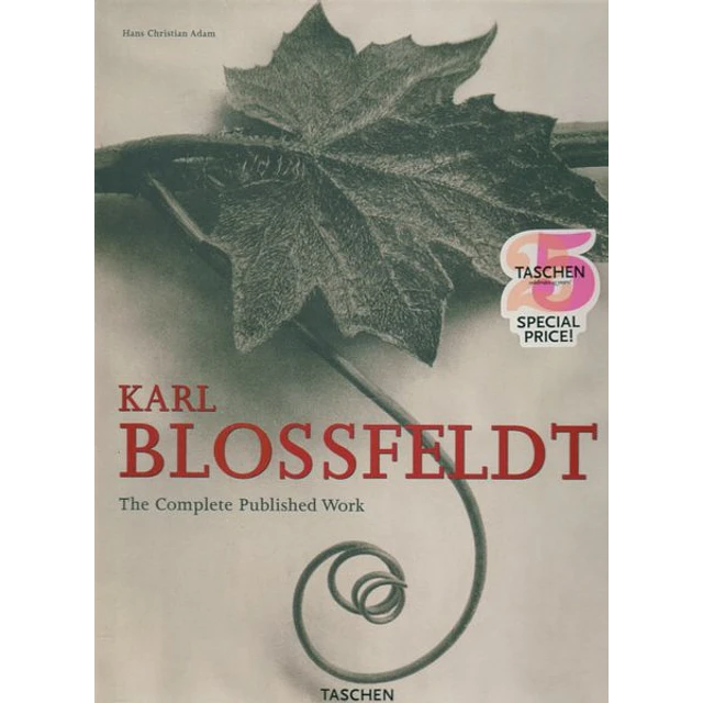 Karl blossfeldt