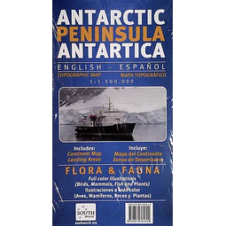 Peninsula antartica