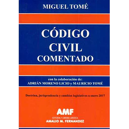 Codigo civil comentado