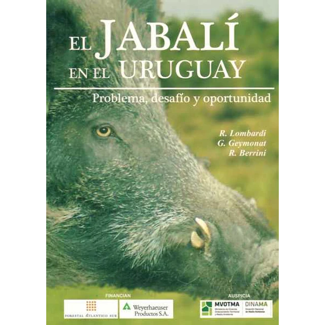 El jabali en el uruguay