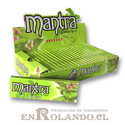 Papelillo Mantra sabor Menta 1 1/4 - Display