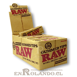 Boquillas (Tips) Raw Engomadas - Display