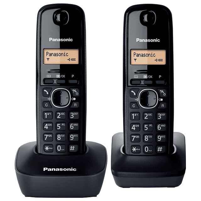 Teléfono Inalámbrico Panasonic Duo Kx-tg1612